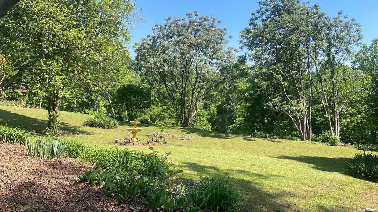 Amherst Drive, Spartanburg, South Carolina image 6