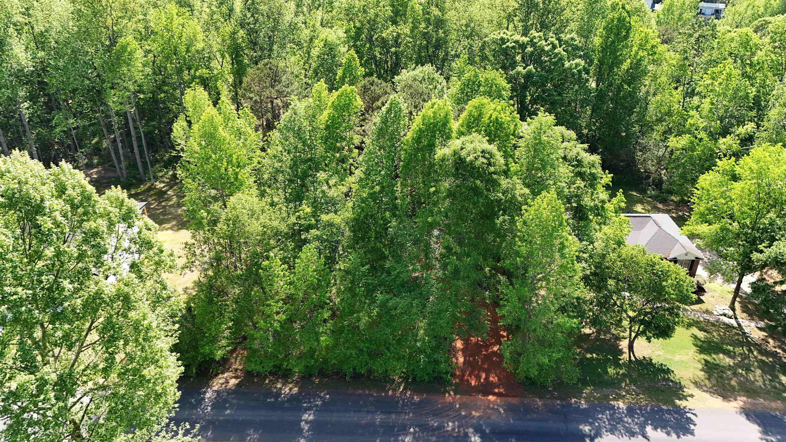 77 Carolina Oaks Drive, Chesnee, South Carolina image 3