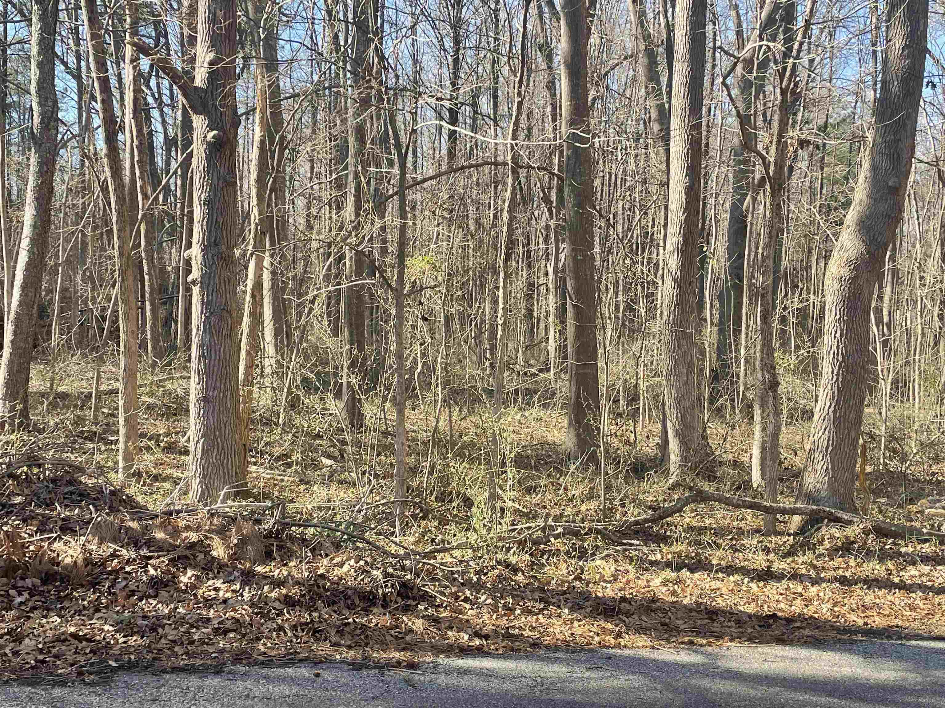 180 Noble Drive, Pacolet, South Carolina image 7
