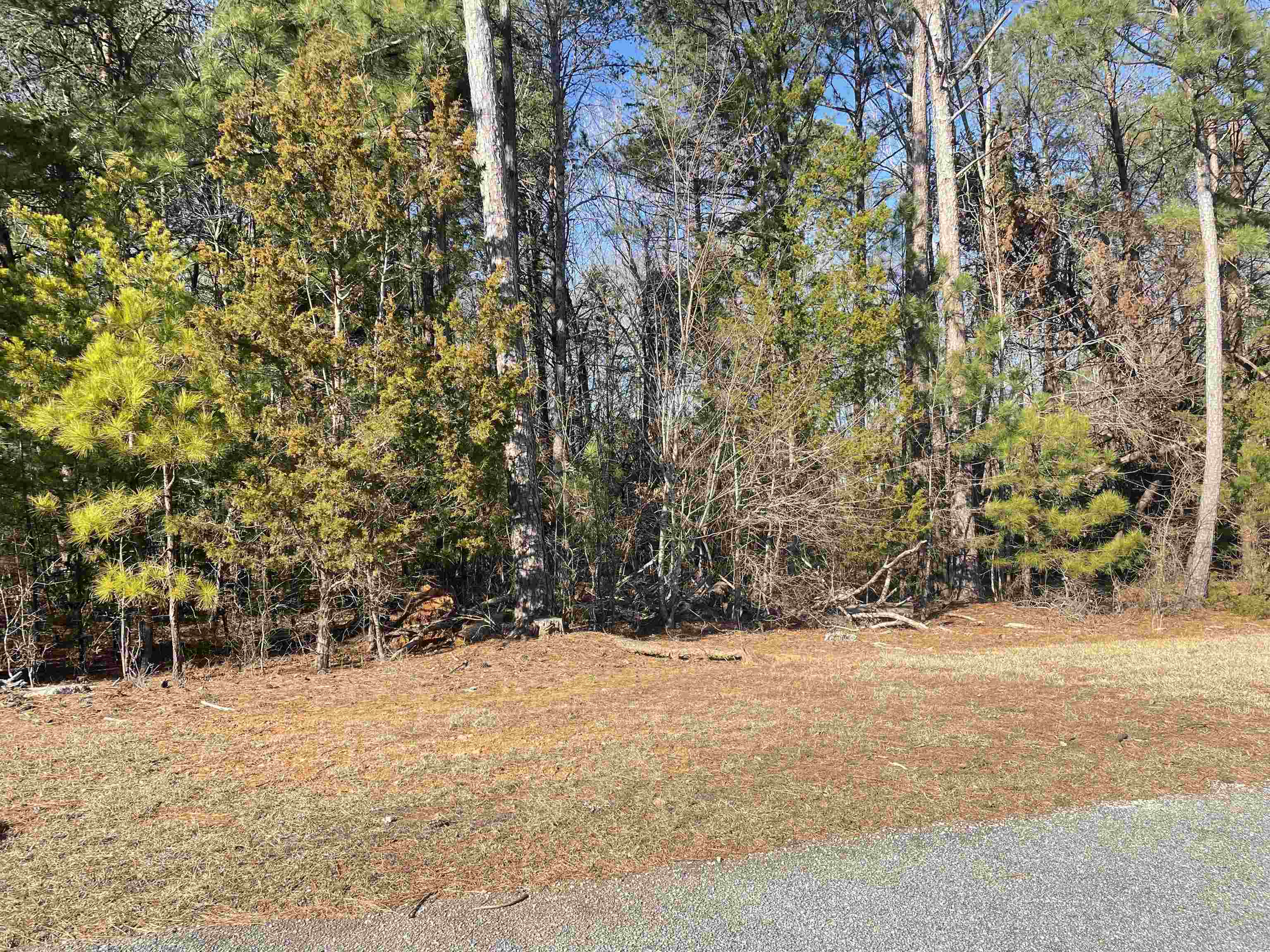 180 Noble Drive, Pacolet, South Carolina image 4