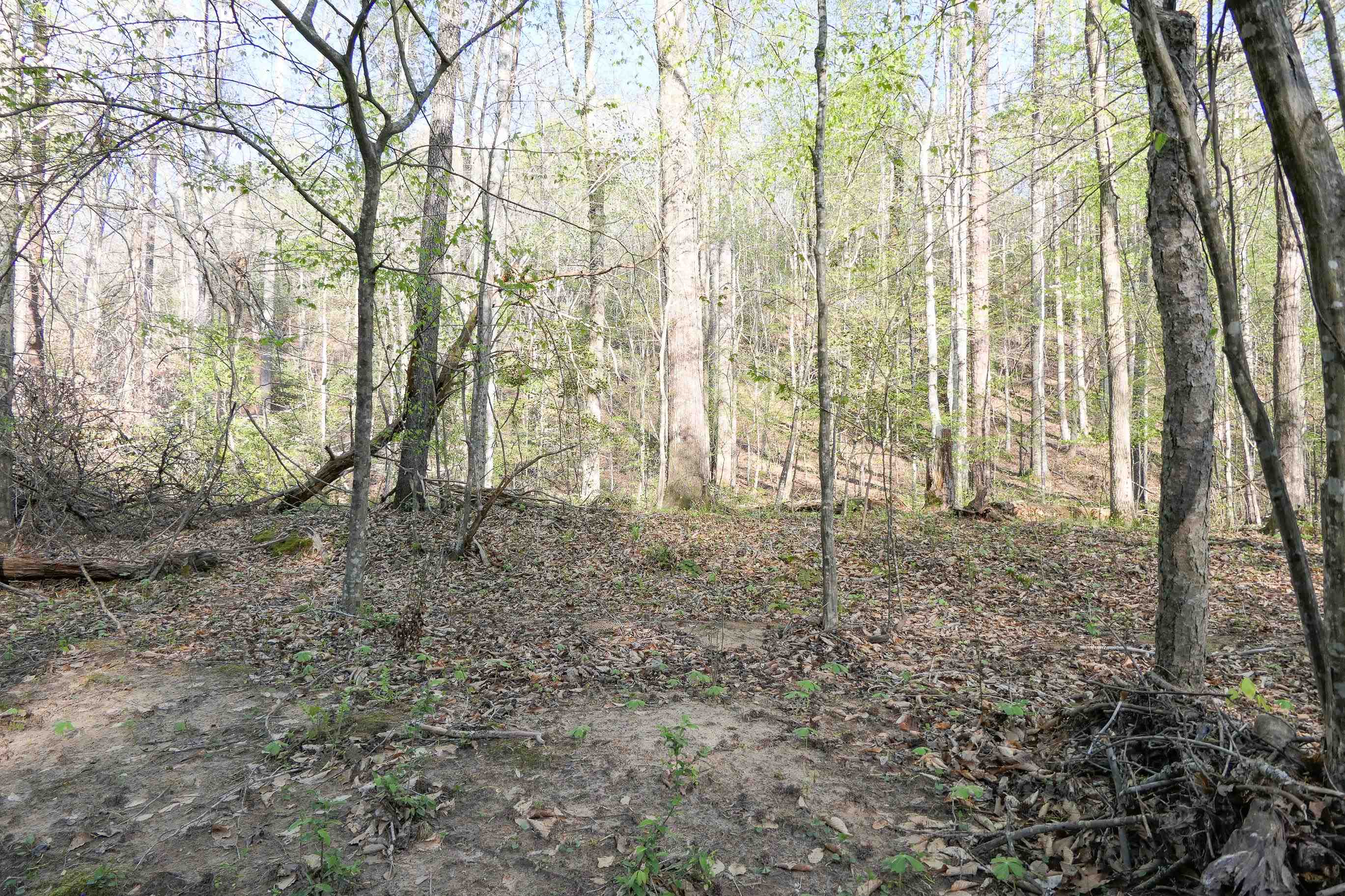 615 Beacon Light Rd Rd, Spartanburg, South Carolina image 40