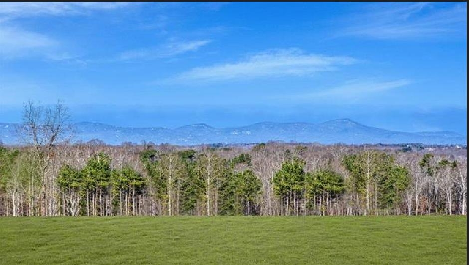 309 Ridge Climb Trail, Greer, South Carolina image 5