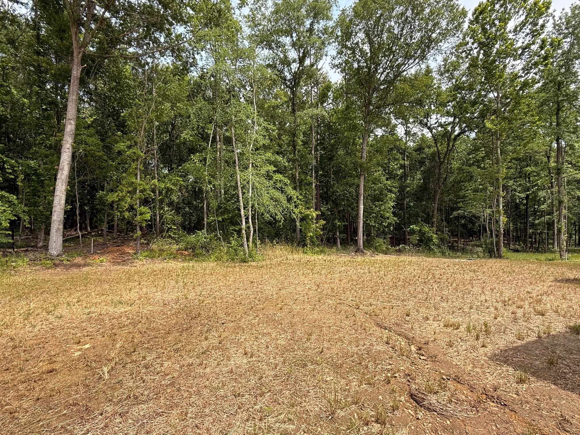 231 Patch Drive, Spartanburg, South Carolina image 29