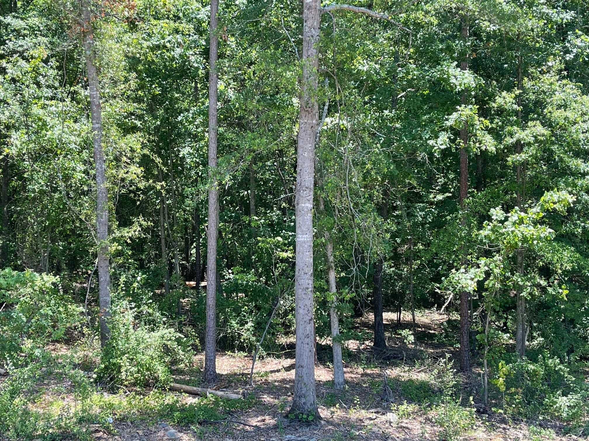 231 Patch Drive, Spartanburg, South Carolina image 30