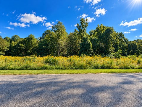 Vacant Land For Sale - 532 Wilkins Ford Road<br/> Inman, SC 29349