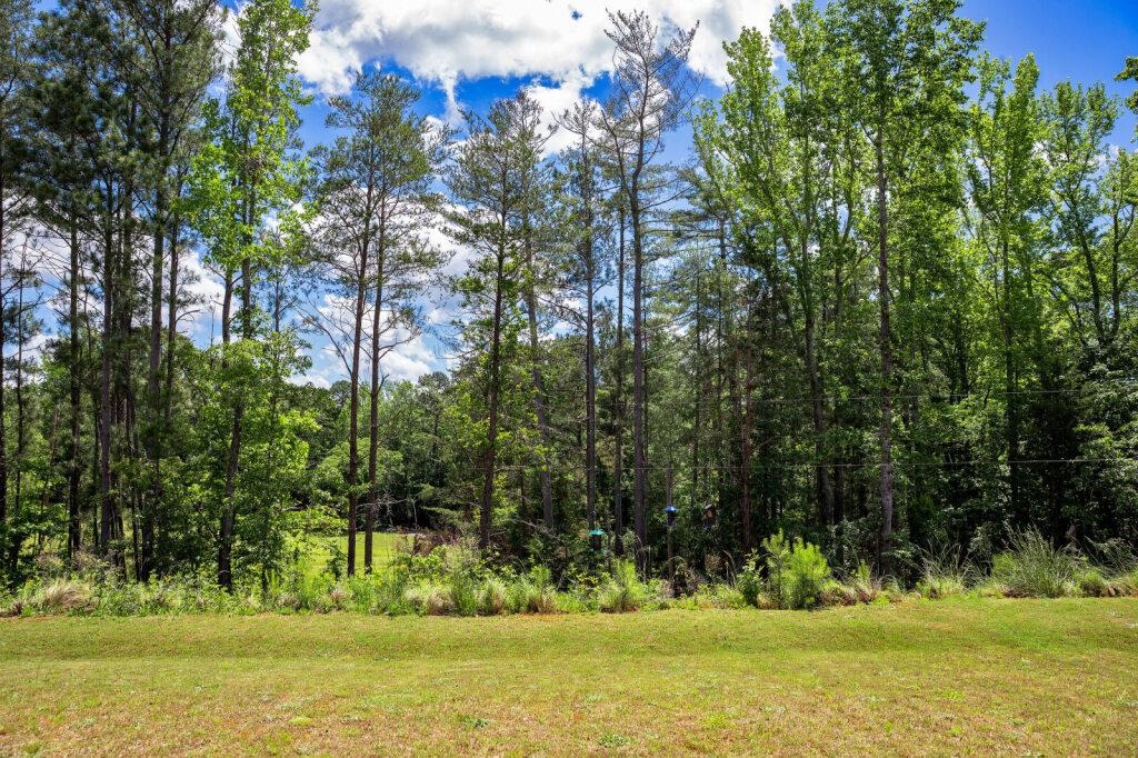1048 Longstone Way, Spartanburg, South Carolina image 35