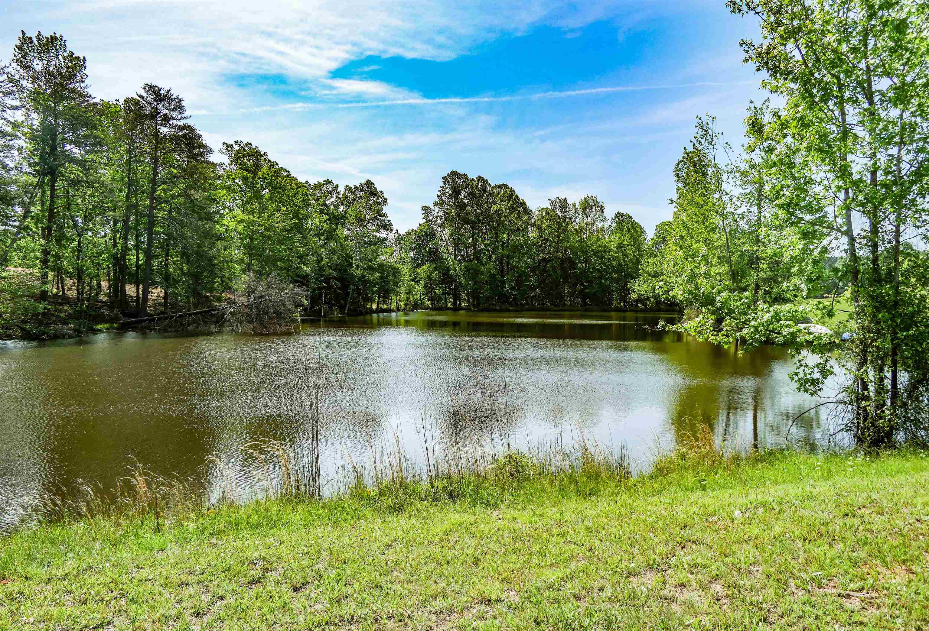 Redland Road, campobello, South Carolina image 2