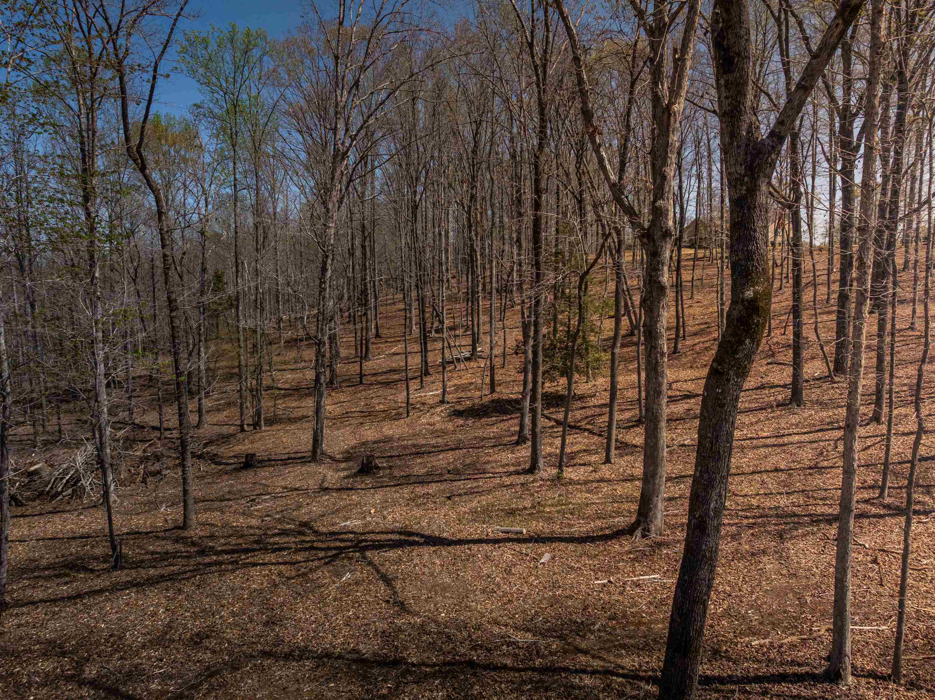 48 Woodall Road, Greenville, South Carolina image 26