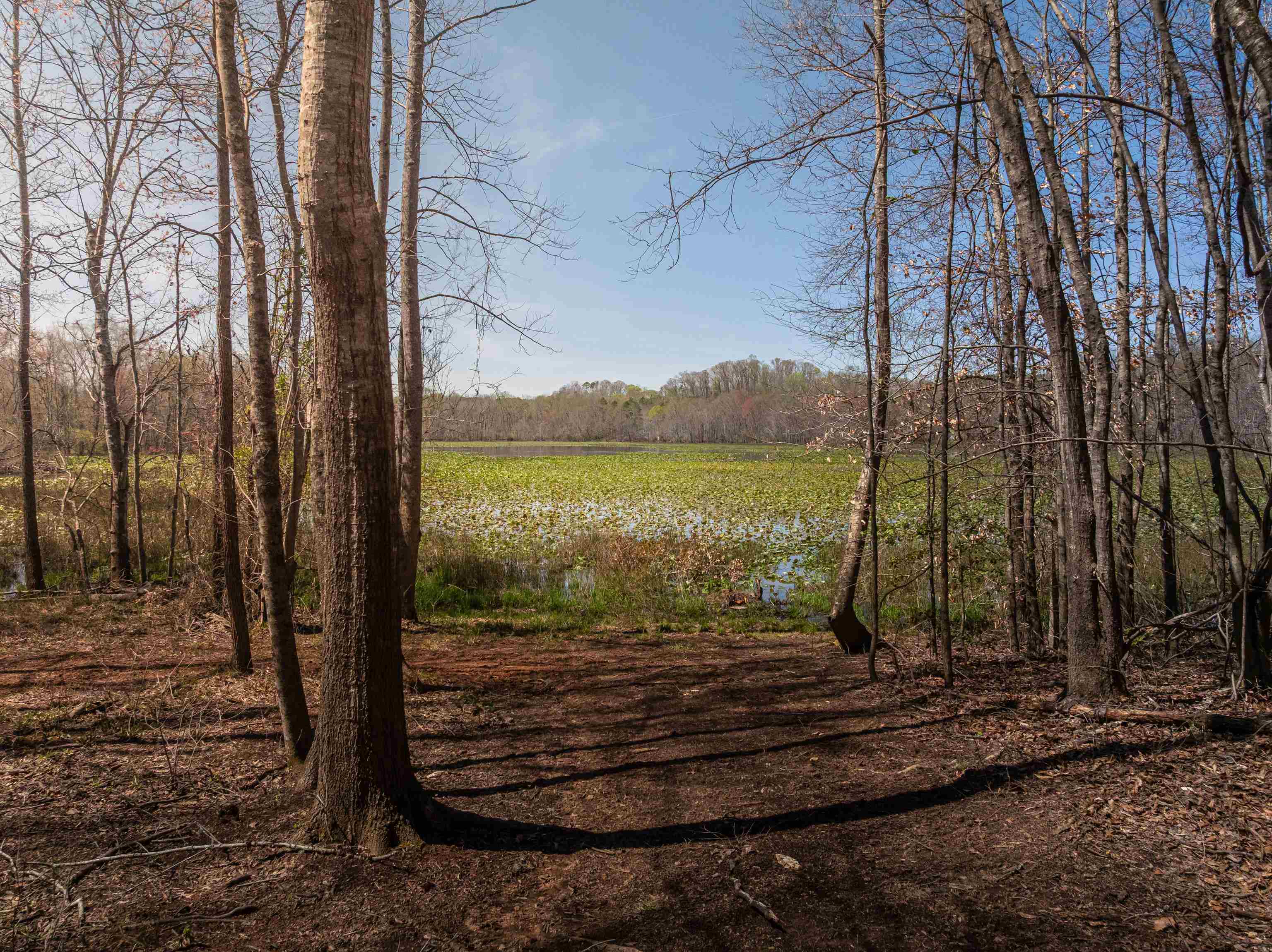48 Woodall Road, Greenville, South Carolina image 30