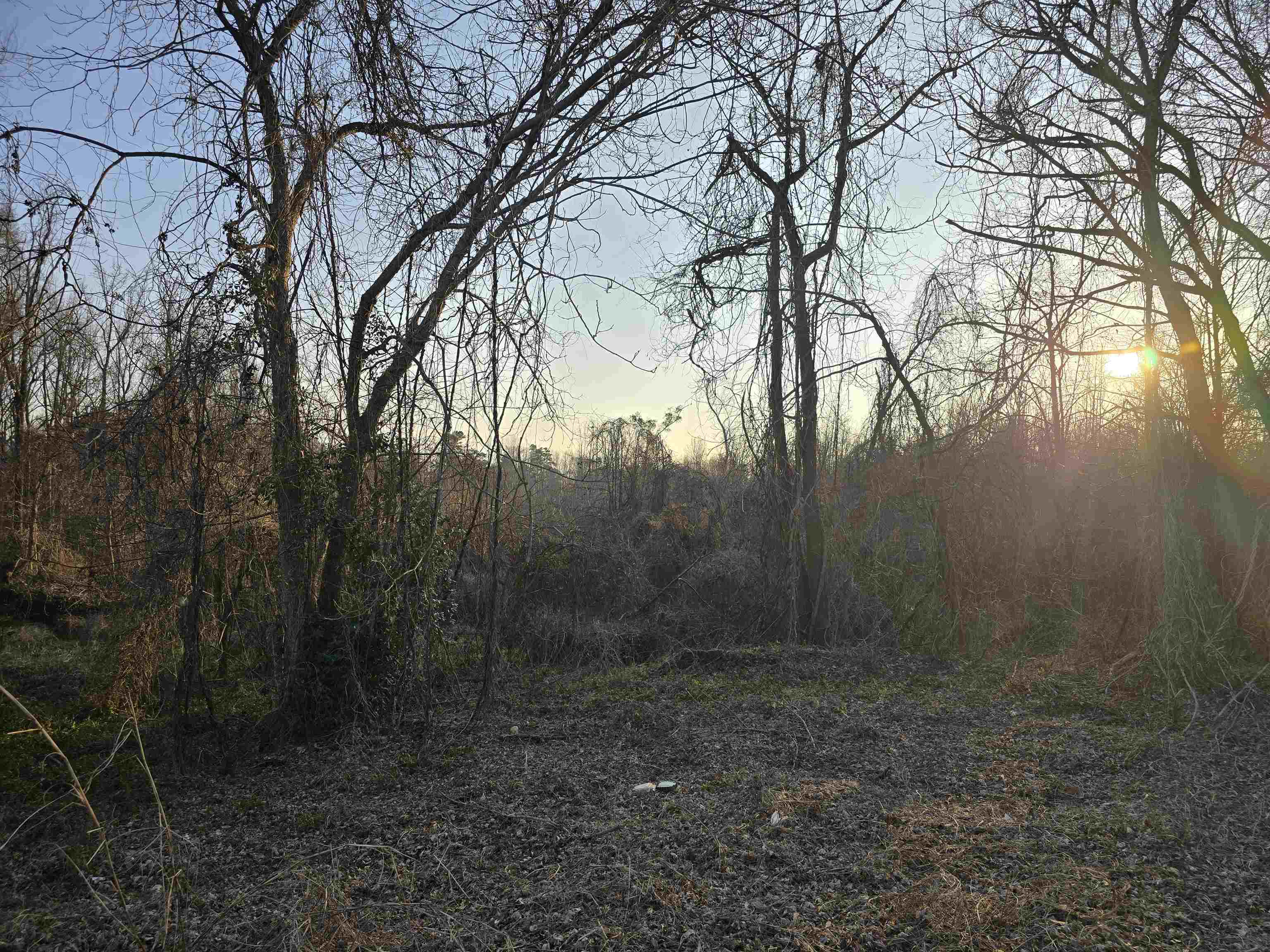 527 Frey Road, Spartanburg, South Carolina image 2