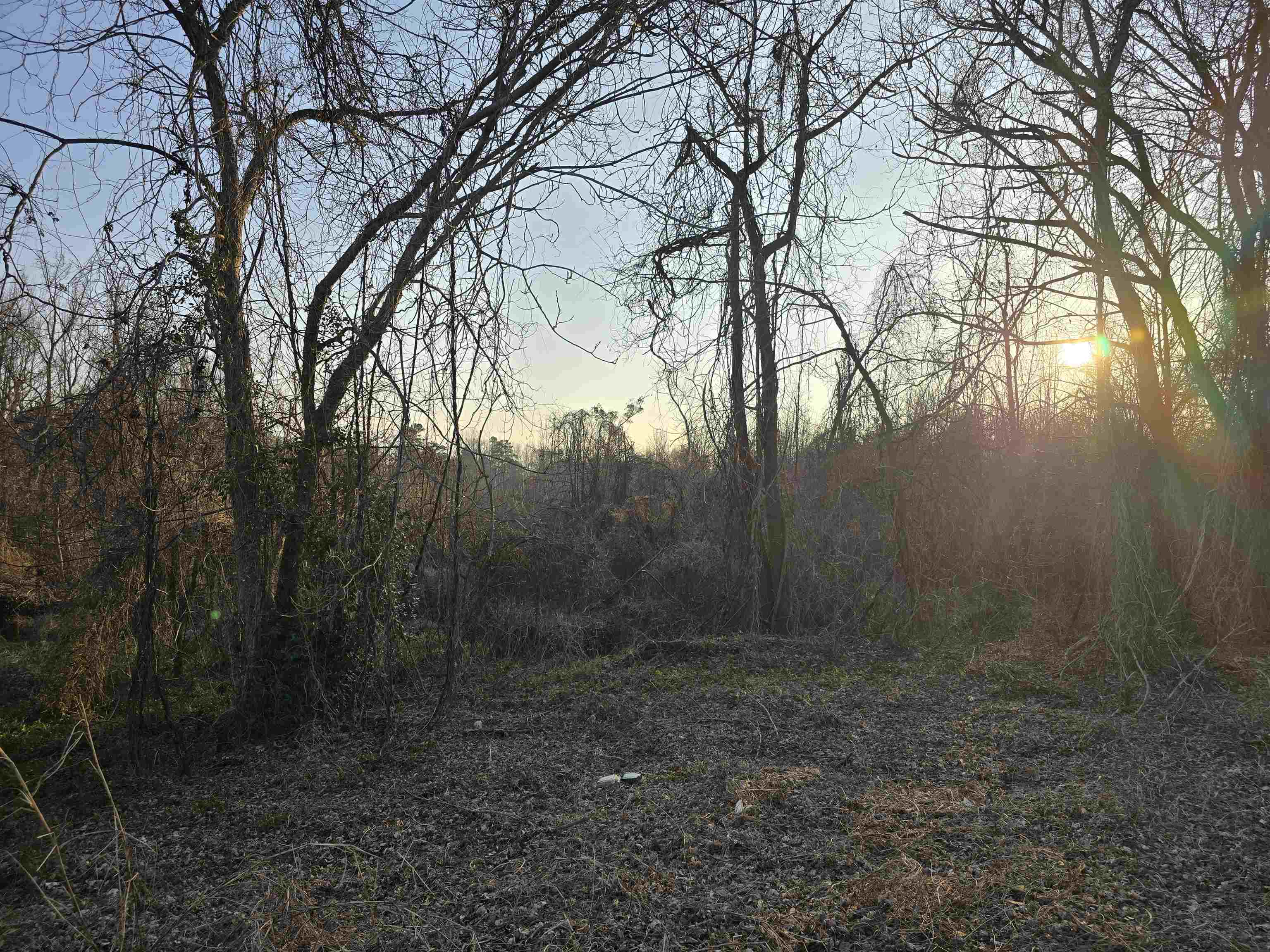 527 Frey Road, Spartanburg, South Carolina image 1