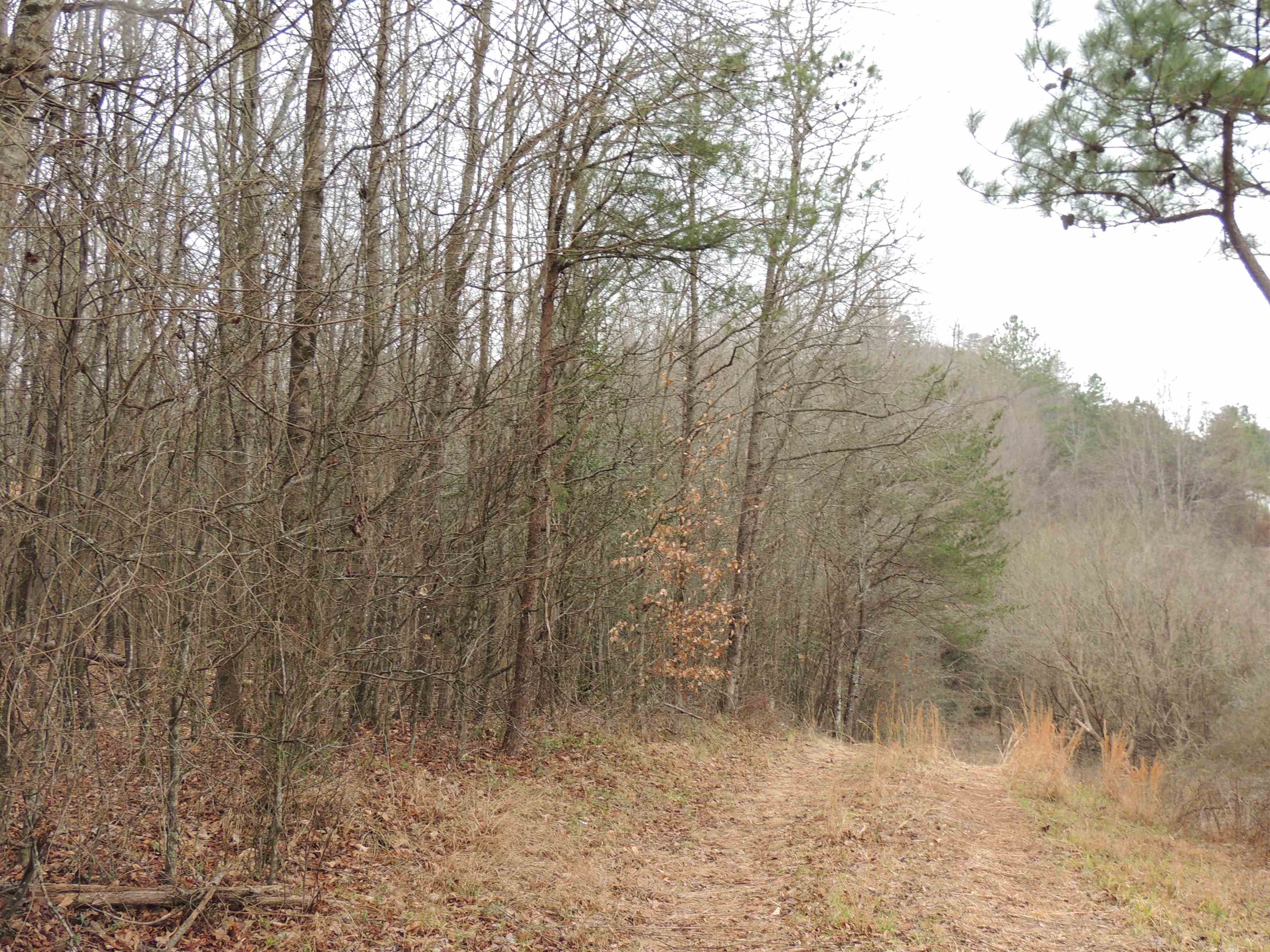 Lister Road, Greer, South Carolina image 1
