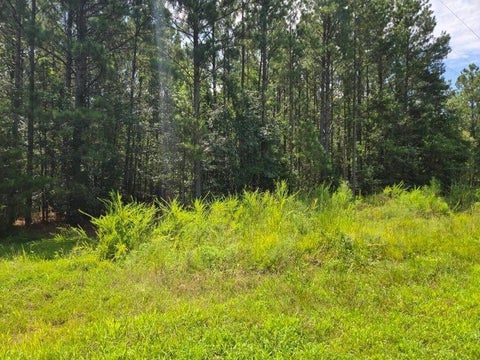 Vacant Land For Sale - 00 Shrine Club Road<br/> Laurens County, Waterloo, SC 29384