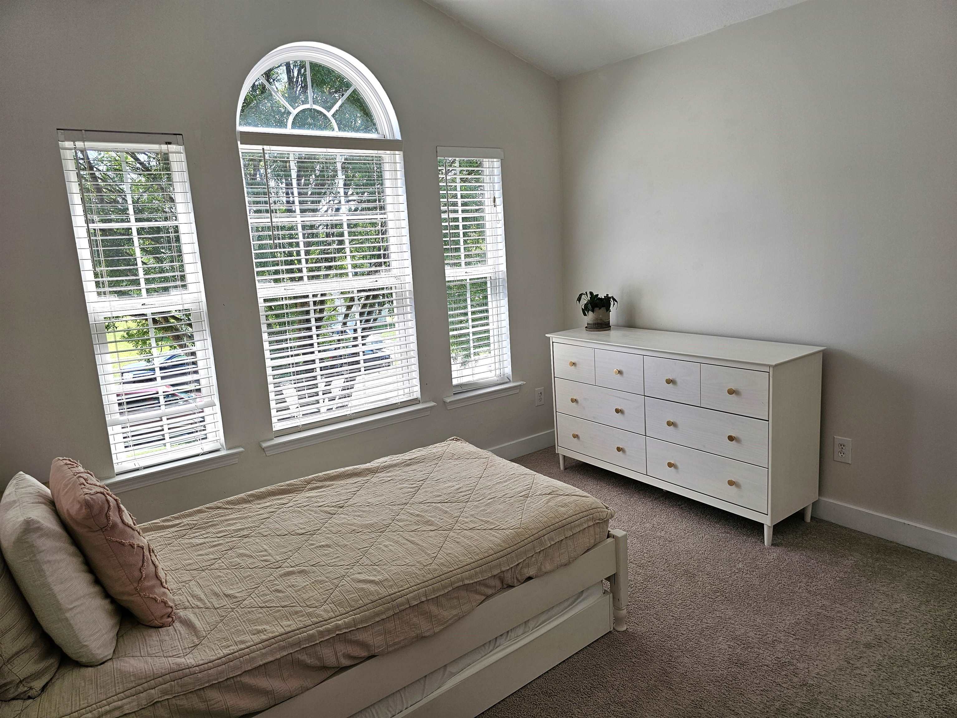 251 Rachel Evans Drive, Boiling Springs, South Carolina image 30