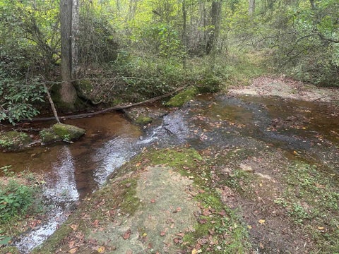Vacant Land For Sale - 290 Burnetts Road<br/> chesnee, SC 29323