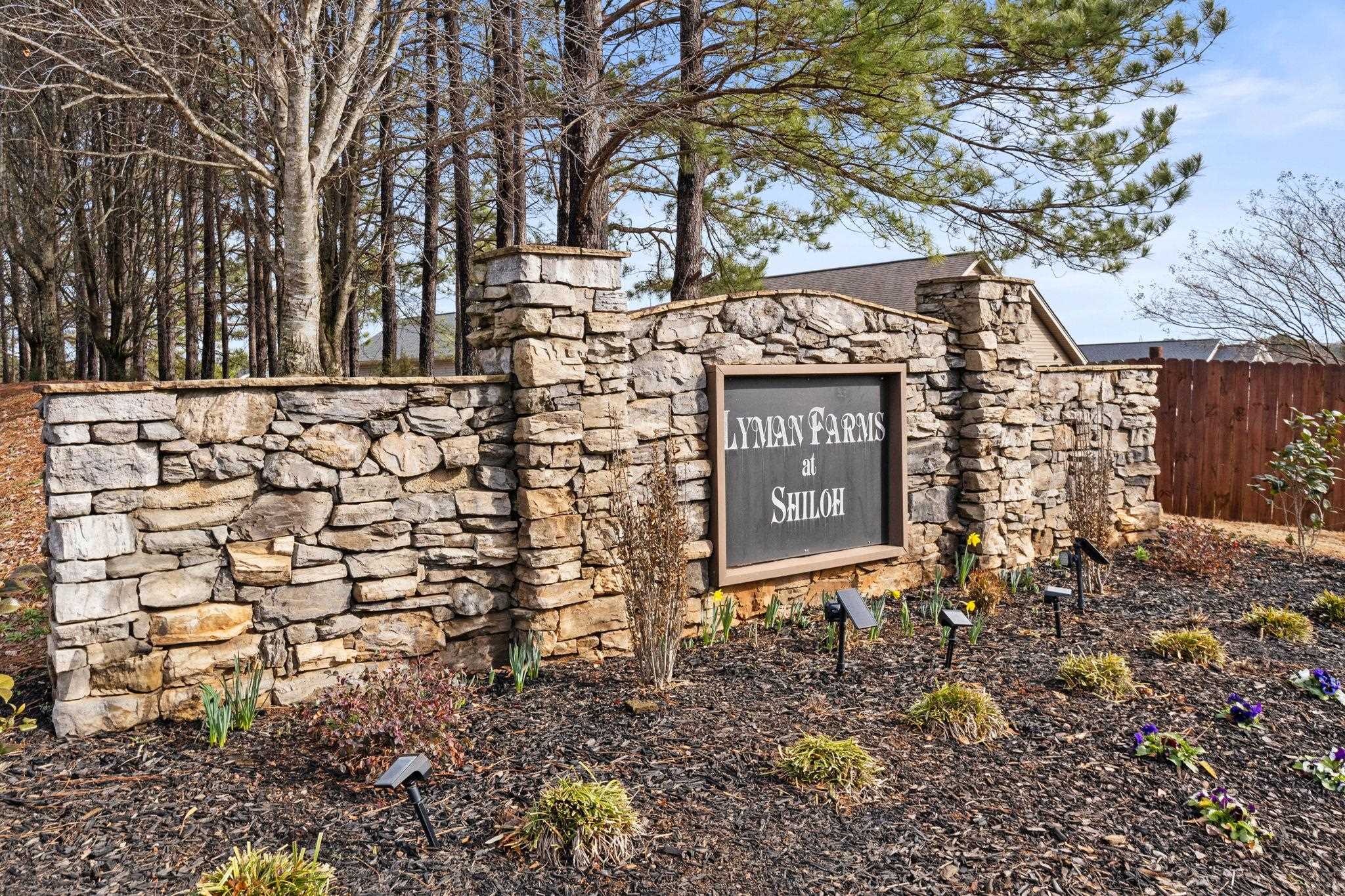 278 E Pyrenees Drive, Lyman, South Carolina image 30