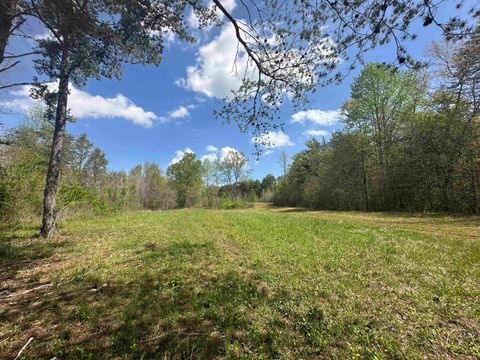 Vacant Land For Sale - 390 Old Mill Road Rd<br/> Chesnee, SC 29323