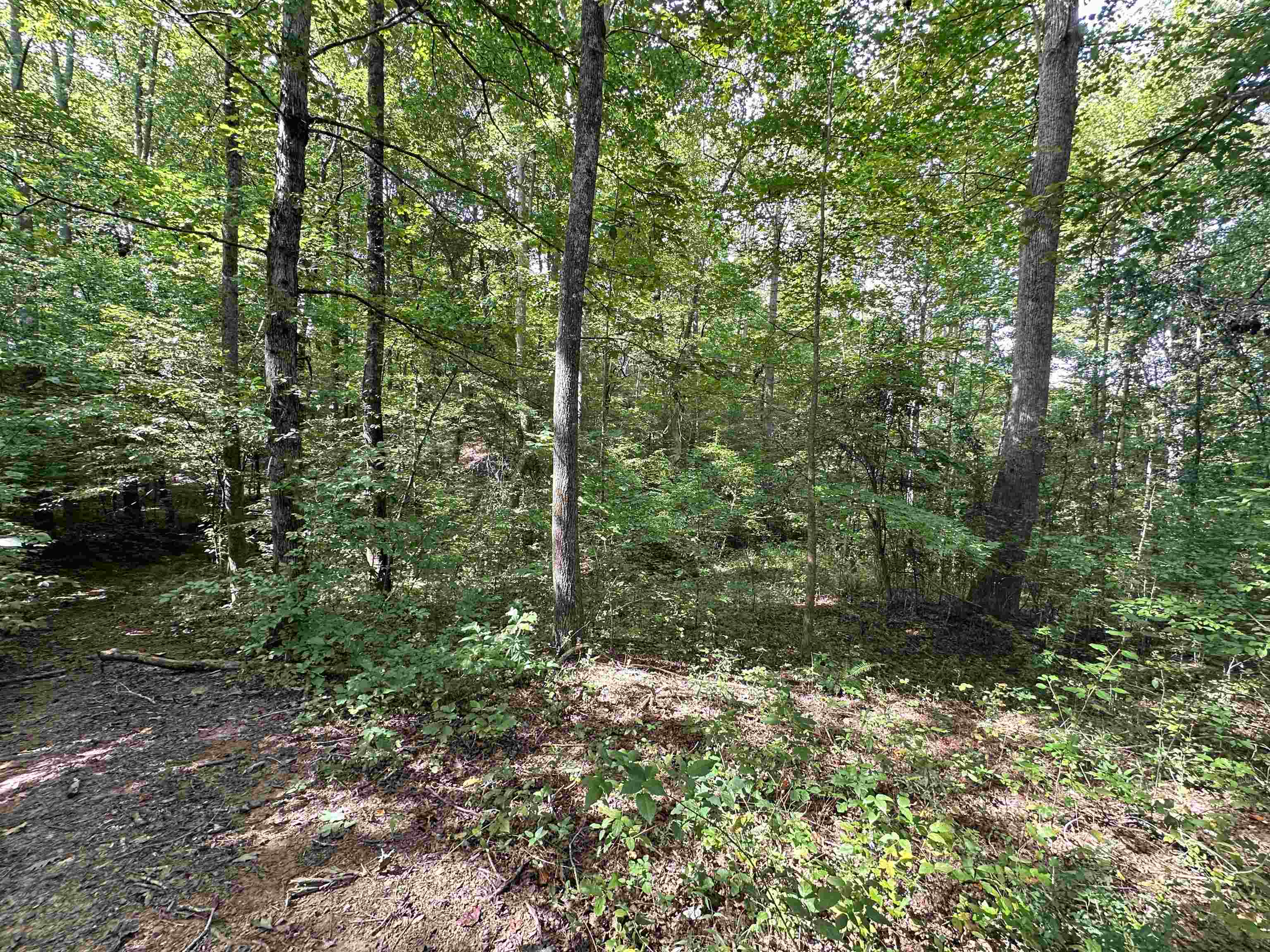 00 Peach St, inman, South Carolina image 3
