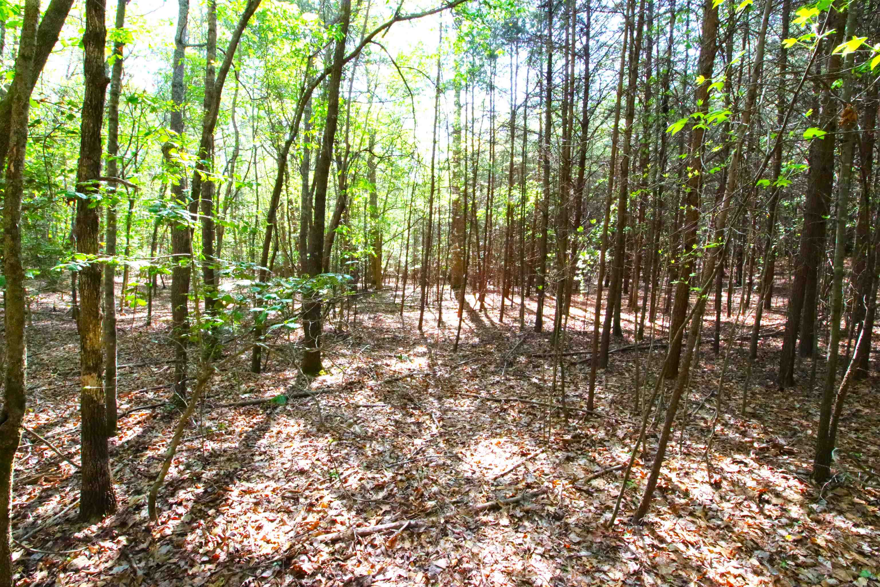 Emma Cudd Road, Spartanburg, South Carolina image 4