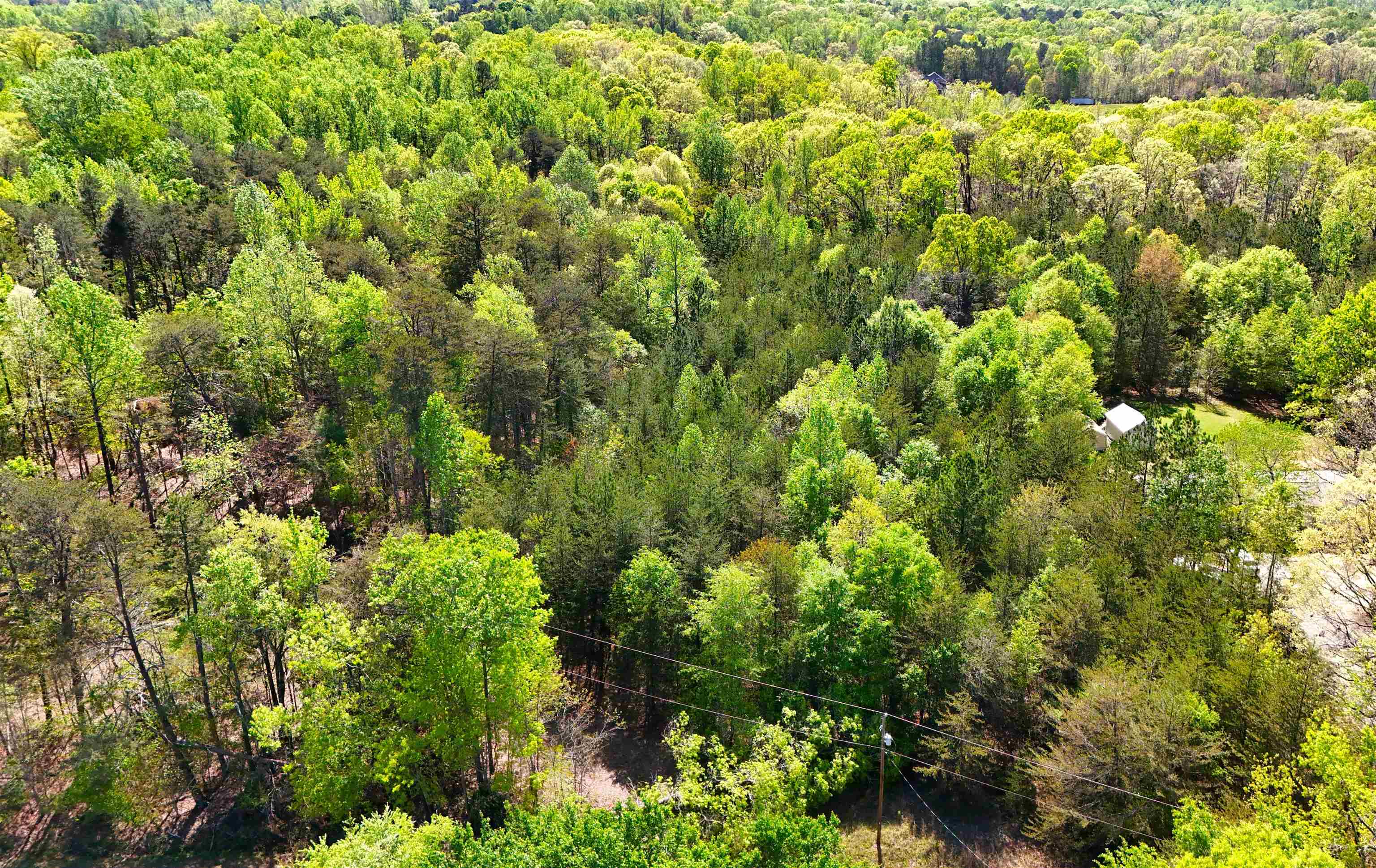 Emma Cudd Road, Spartanburg, South Carolina image 6
