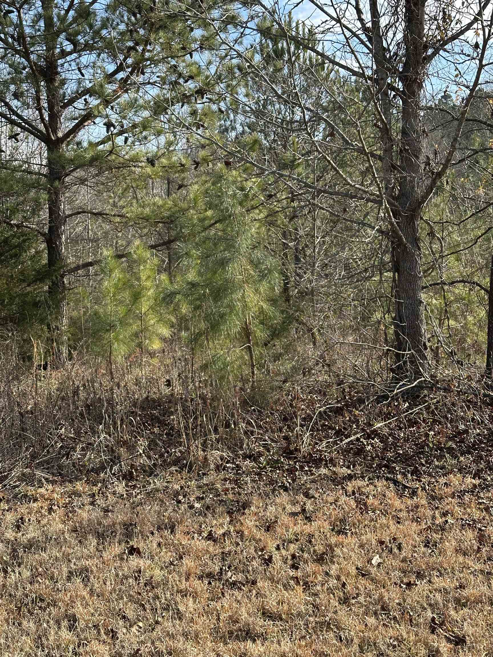 00 Sherrill, Blacksburg, South Carolina image 3