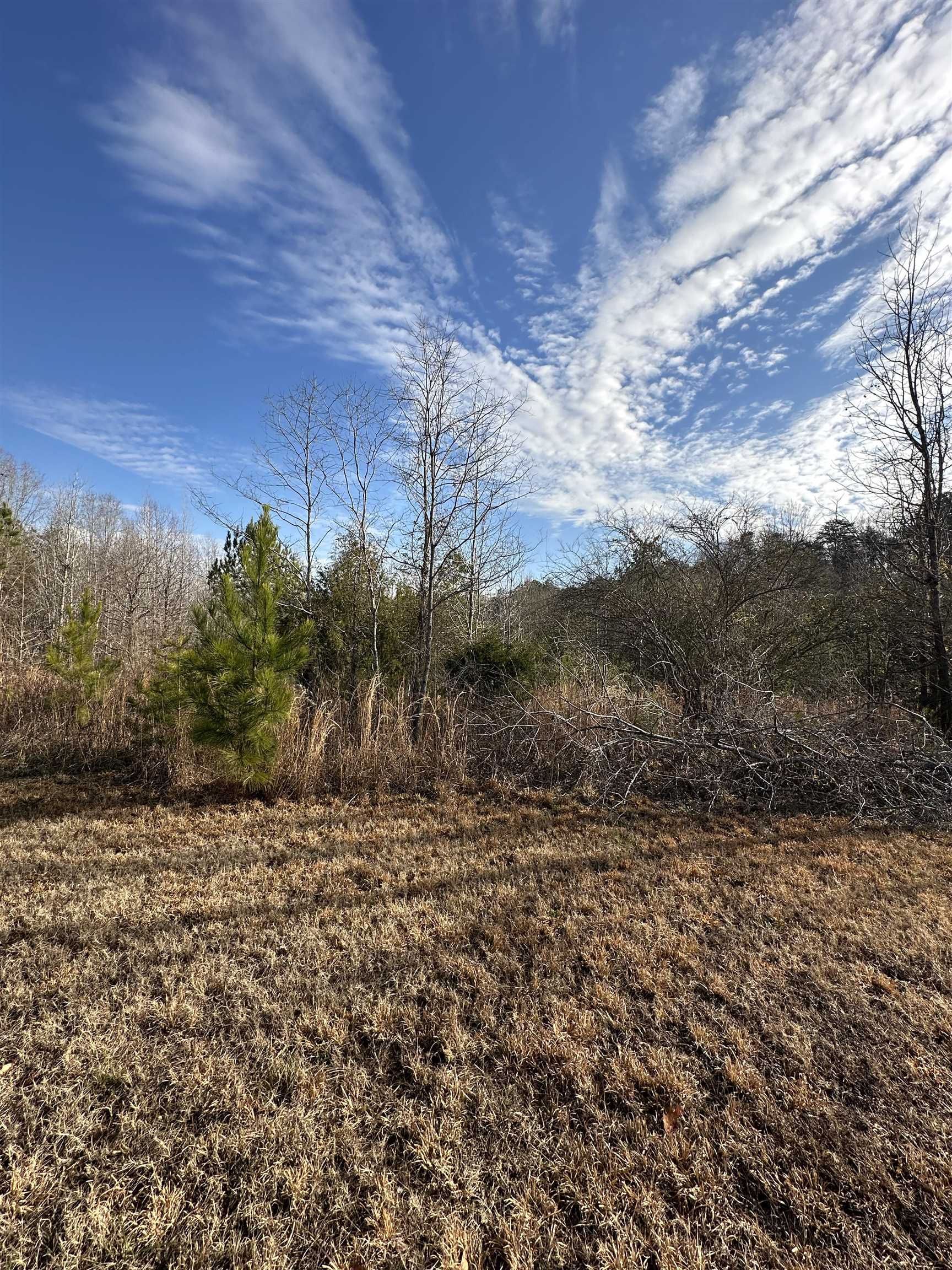 00 Sherrill, Blacksburg, South Carolina image 1