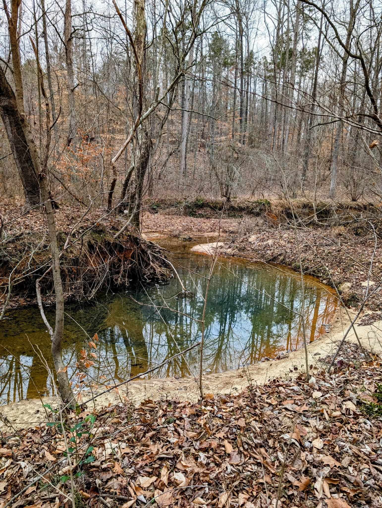 00 Sherrill, Blacksburg, South Carolina image 14
