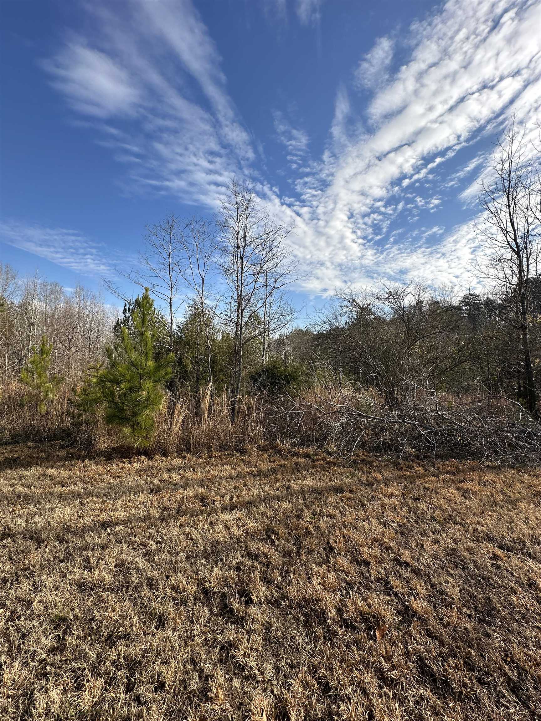 00 Sherrill, Blacksburg, South Carolina image 5