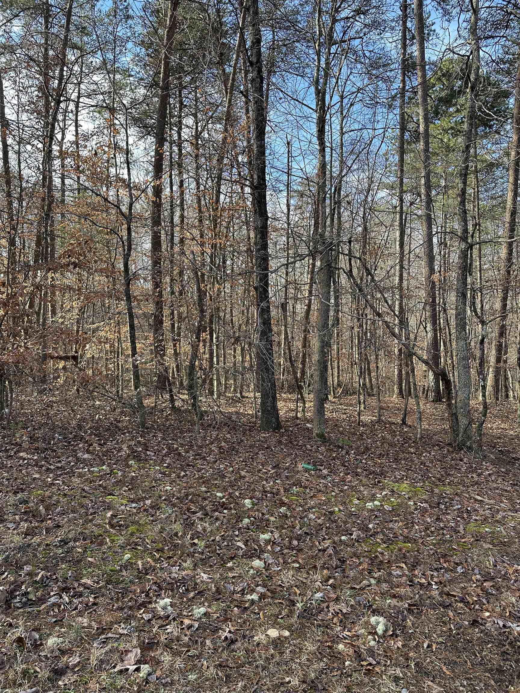 00 Sherrill, Blacksburg, South Carolina image 10