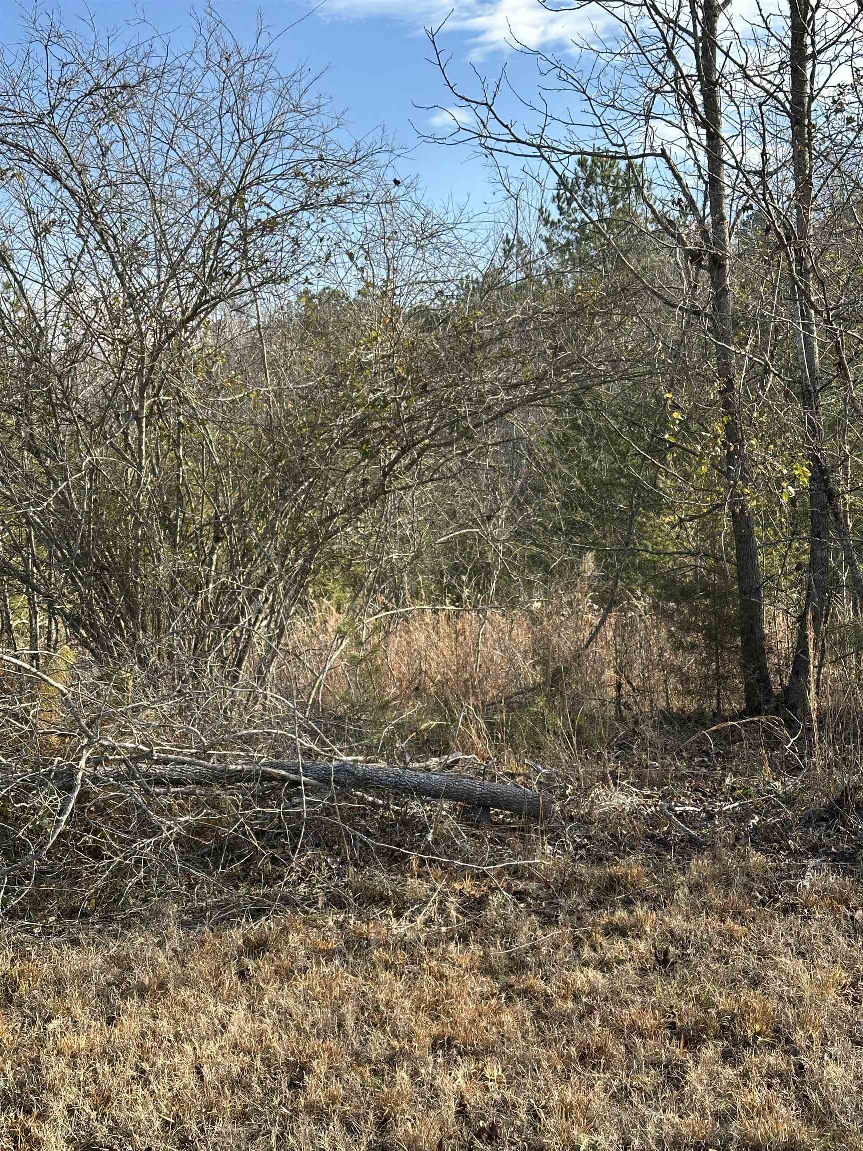 00 Sherrill, Blacksburg, South Carolina image 4