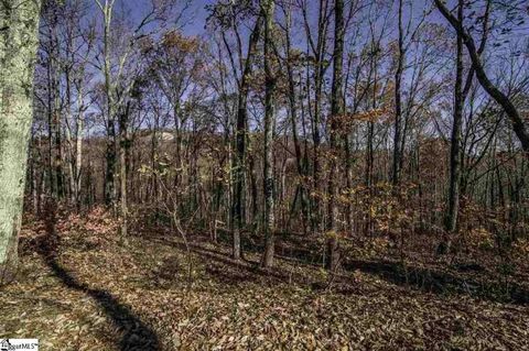 Vacant Land For Sale - 16 Windswept Lane<br/> Travelers Rest, SC 29690