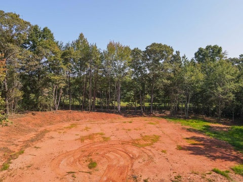 Vacant Land For Sale - Smith Chapel Rd<br/> Campobello, SC 29322