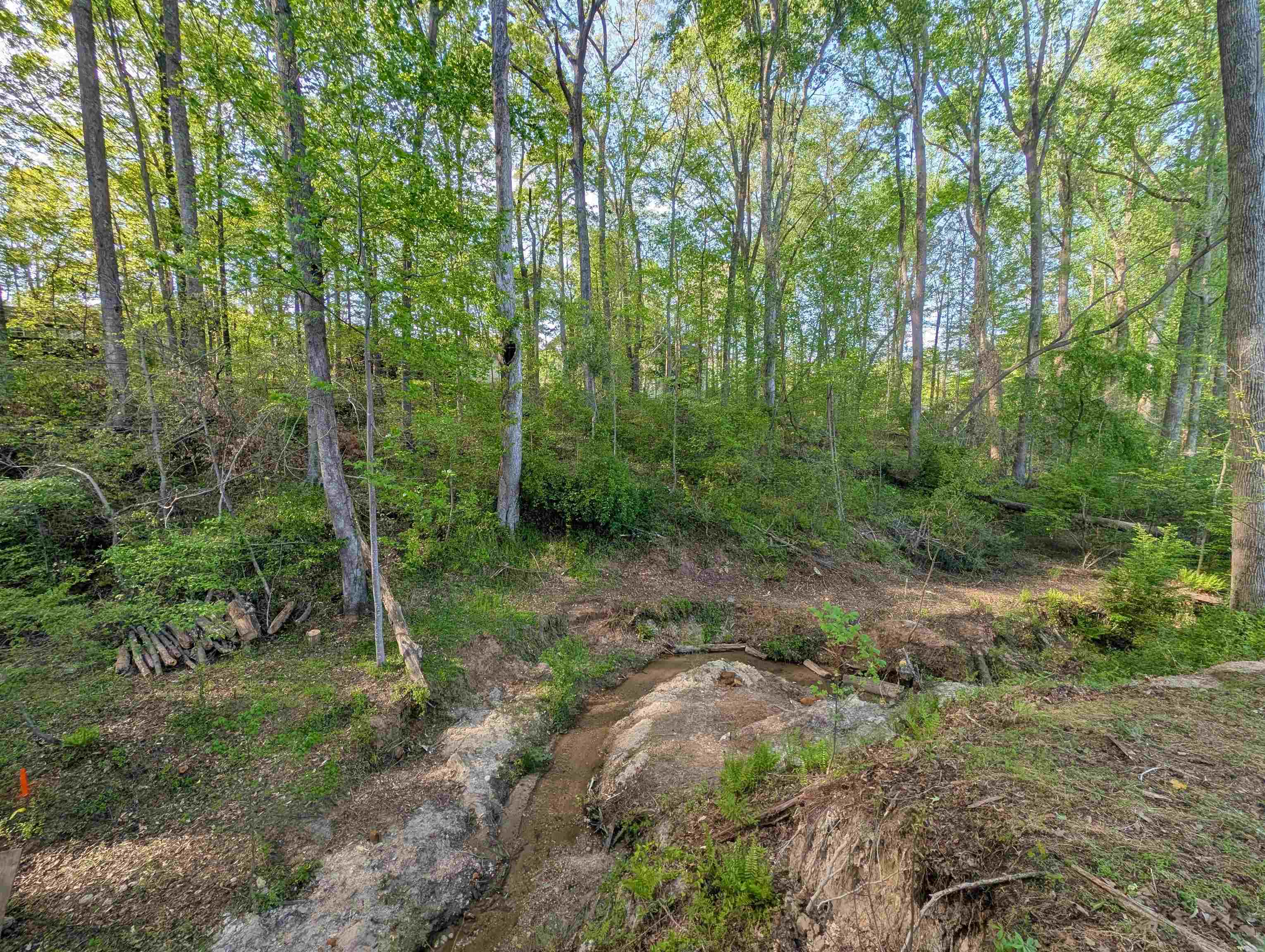 148 Shady Lane, Wellford, South Carolina image 17