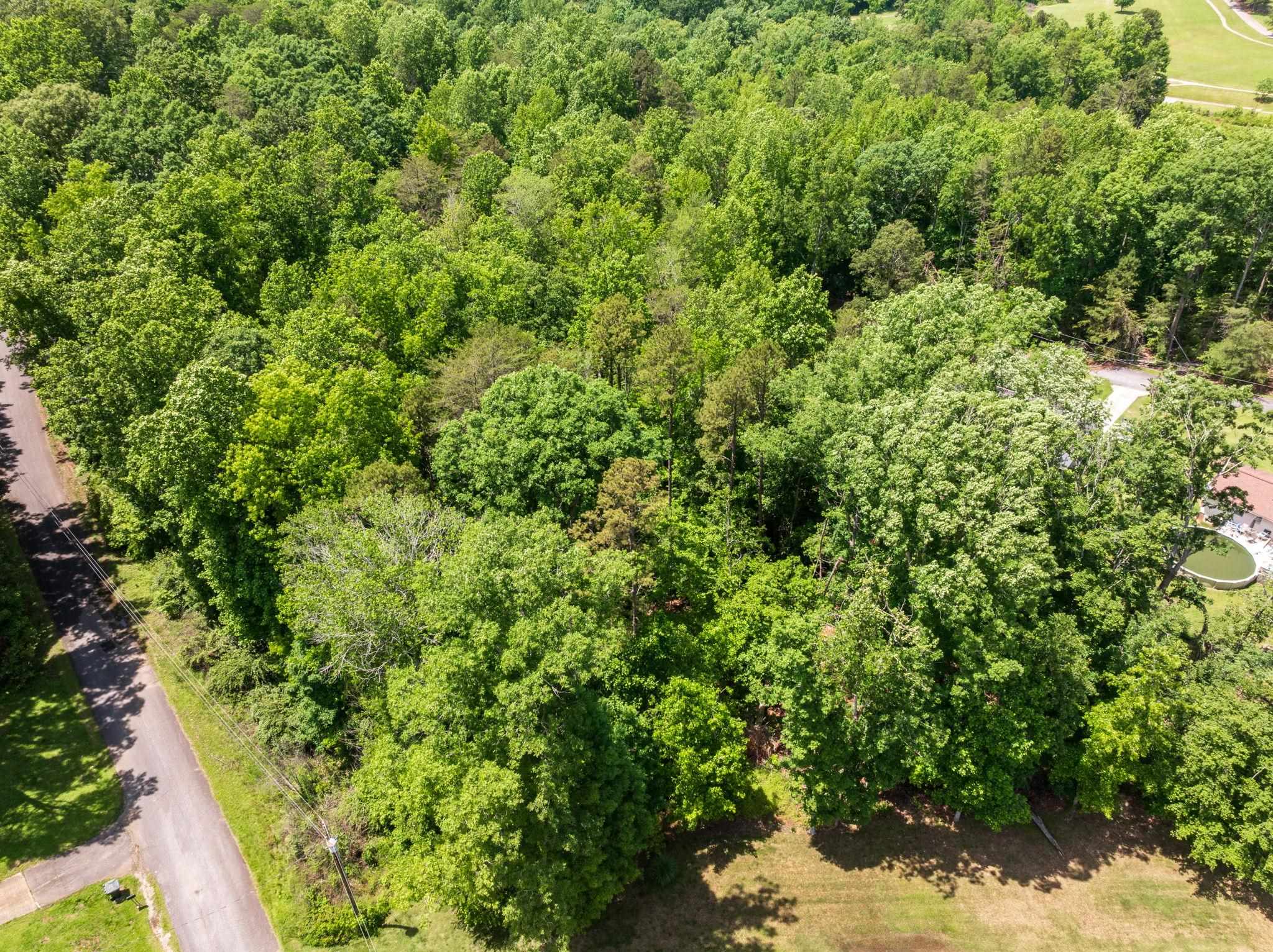 Foxfire Drive, Gaffney, South Carolina image 10