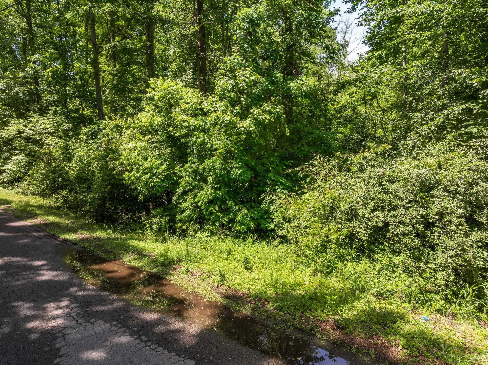 Foxfire Drive, Gaffney, South Carolina image 6