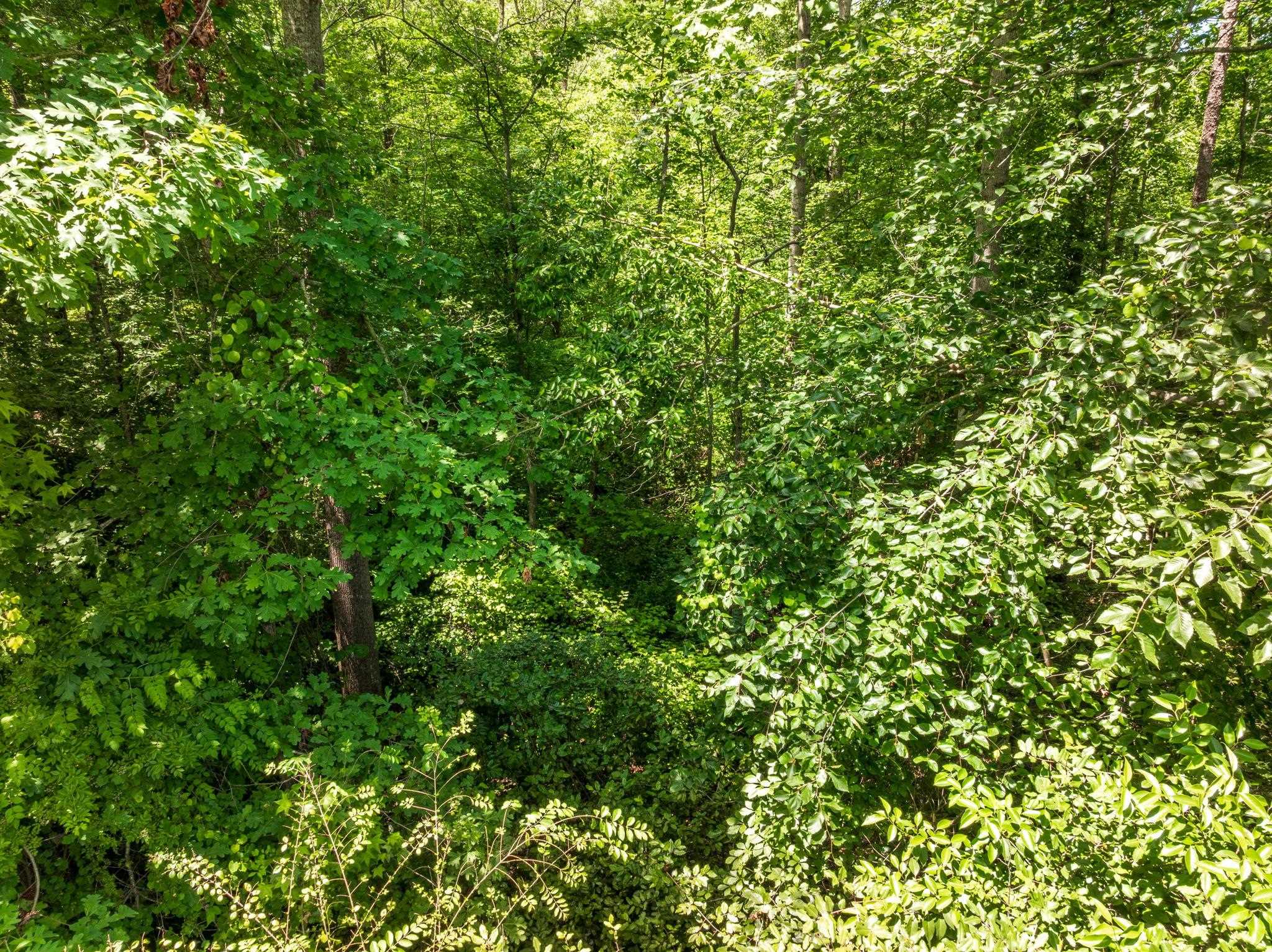 Foxfire Drive, Gaffney, South Carolina image 8