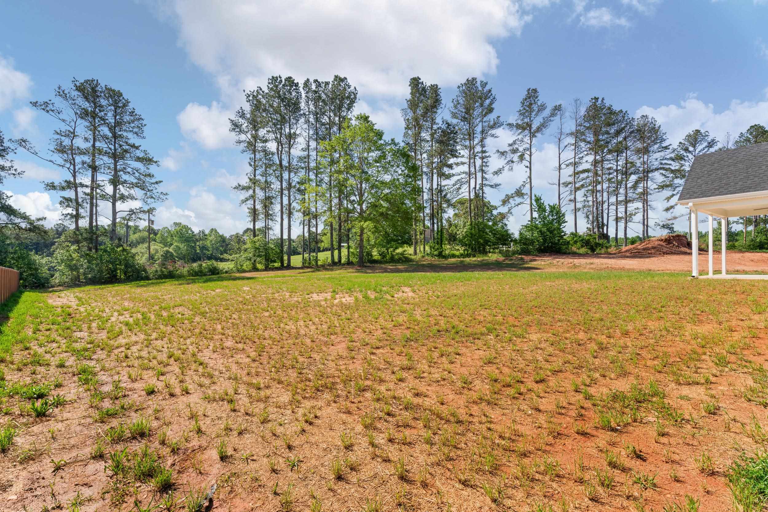 1325 Wellton Place, Campobello, South Carolina image 41