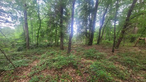 Vacant Land For Sale - 1429 Casey Creek Rd Rd<br/> Chesnee, SC 29323