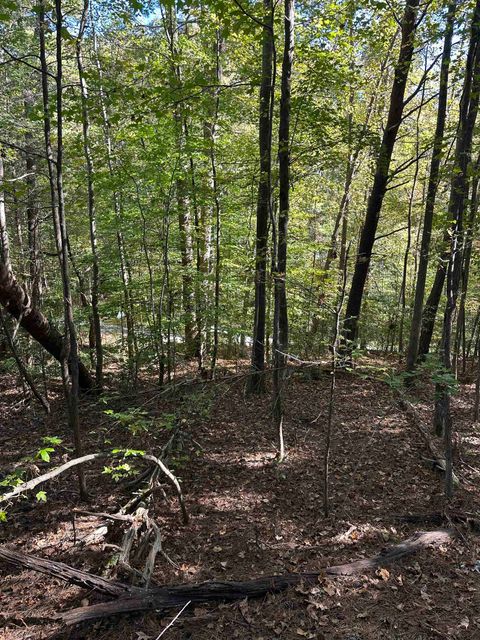 Vacant Land For Sale - Hammett Grove Road<br/> Cherokee County, Spartanburg, SC 29307