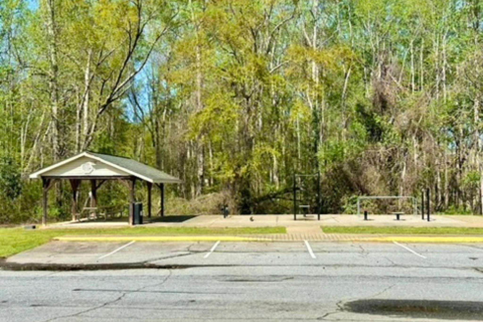 314 Catterick Way, Fountain Inn, South Carolina image 27