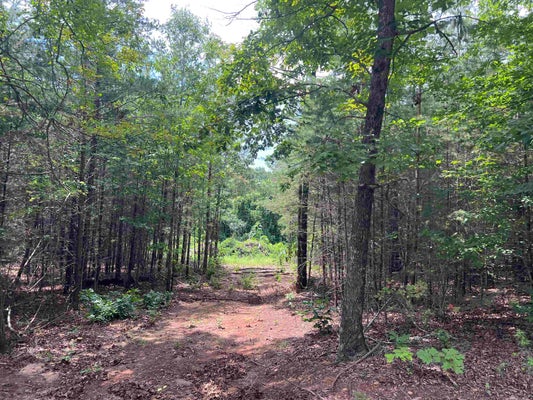 500 GOFORTH RD, LANDRUM, SC 29356 - Image aa7d67692bb0a6fd61bdc6f2e51abbae/4249557521
