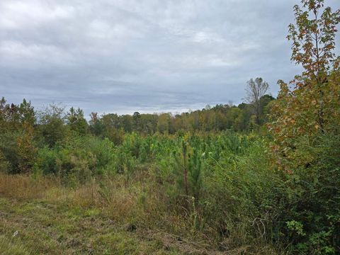 Homes For Sale - E Highway 378<br/> McCormick, SC 29835