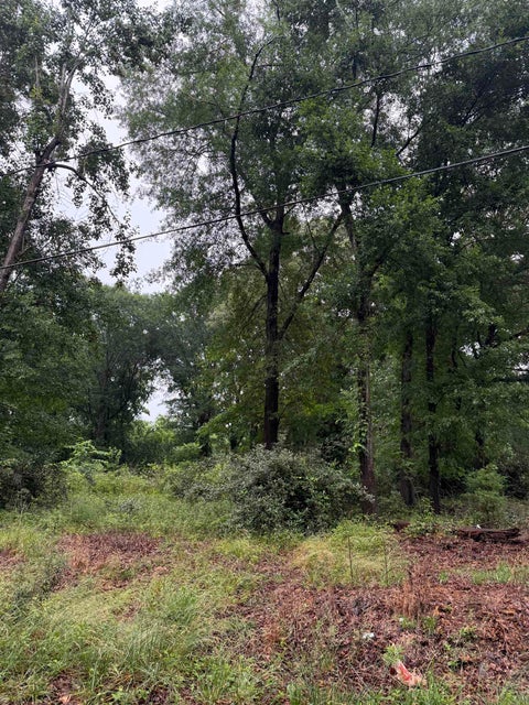 Vacant Land For Sale - Merle Drive<br/> Spartanburg, SC 29307