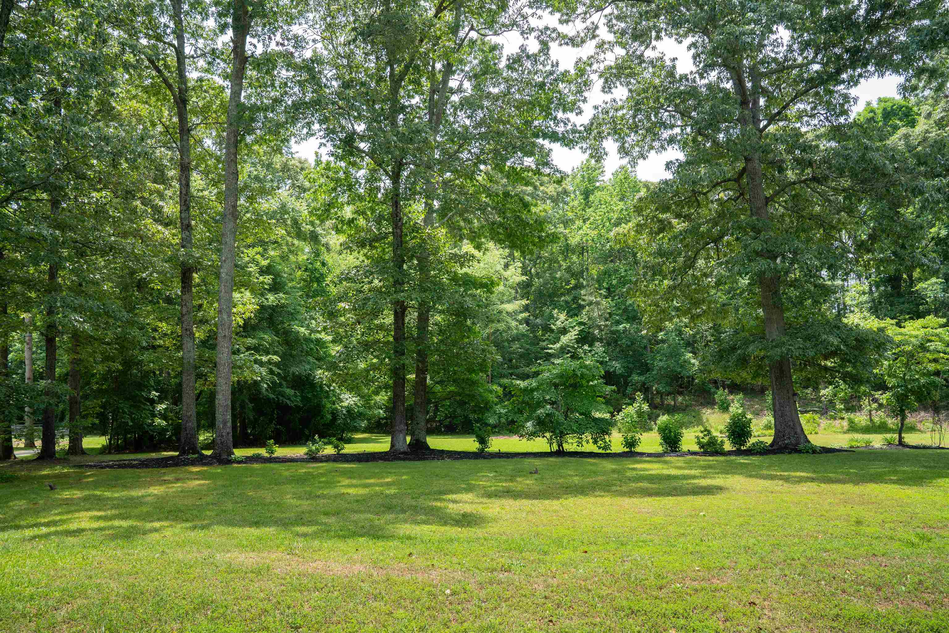 763 Grassy Pond Road, Gaffney, South Carolina image 32