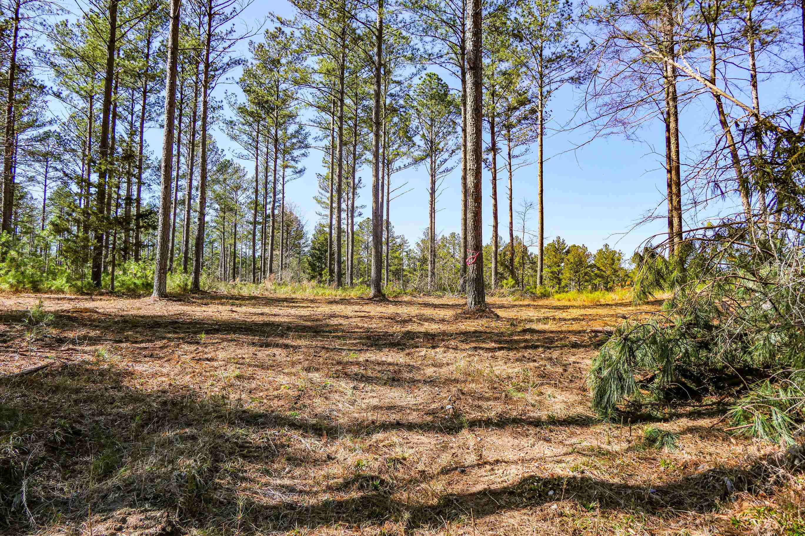 Asbury Road, Pacolet, South Carolina image 9