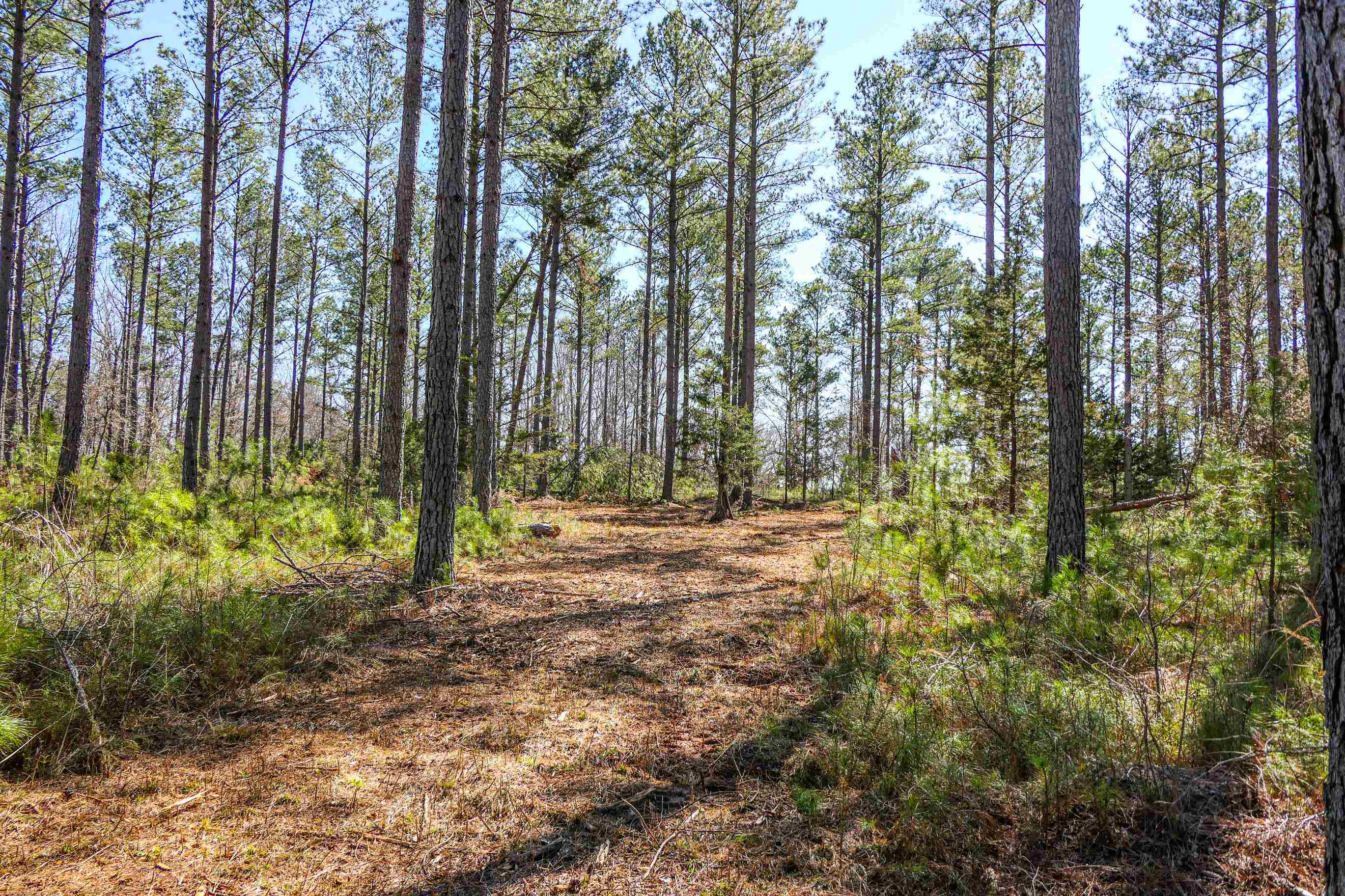 Asbury Road, Pacolet, South Carolina image 8