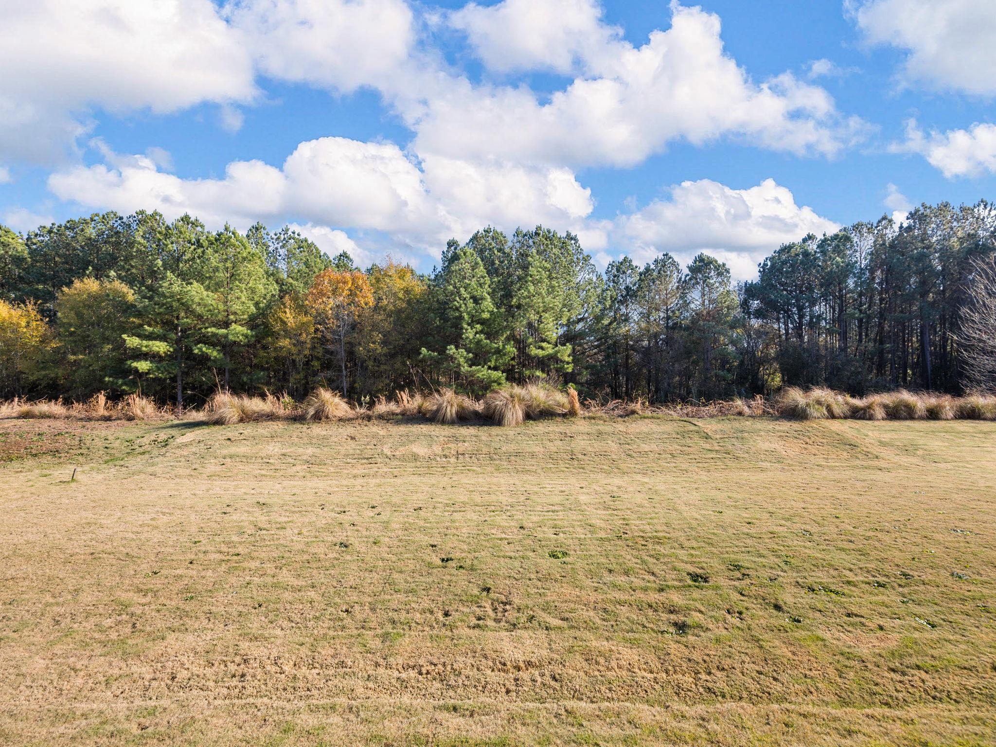 313 Trail Crossing Lane, Inman, South Carolina image 30