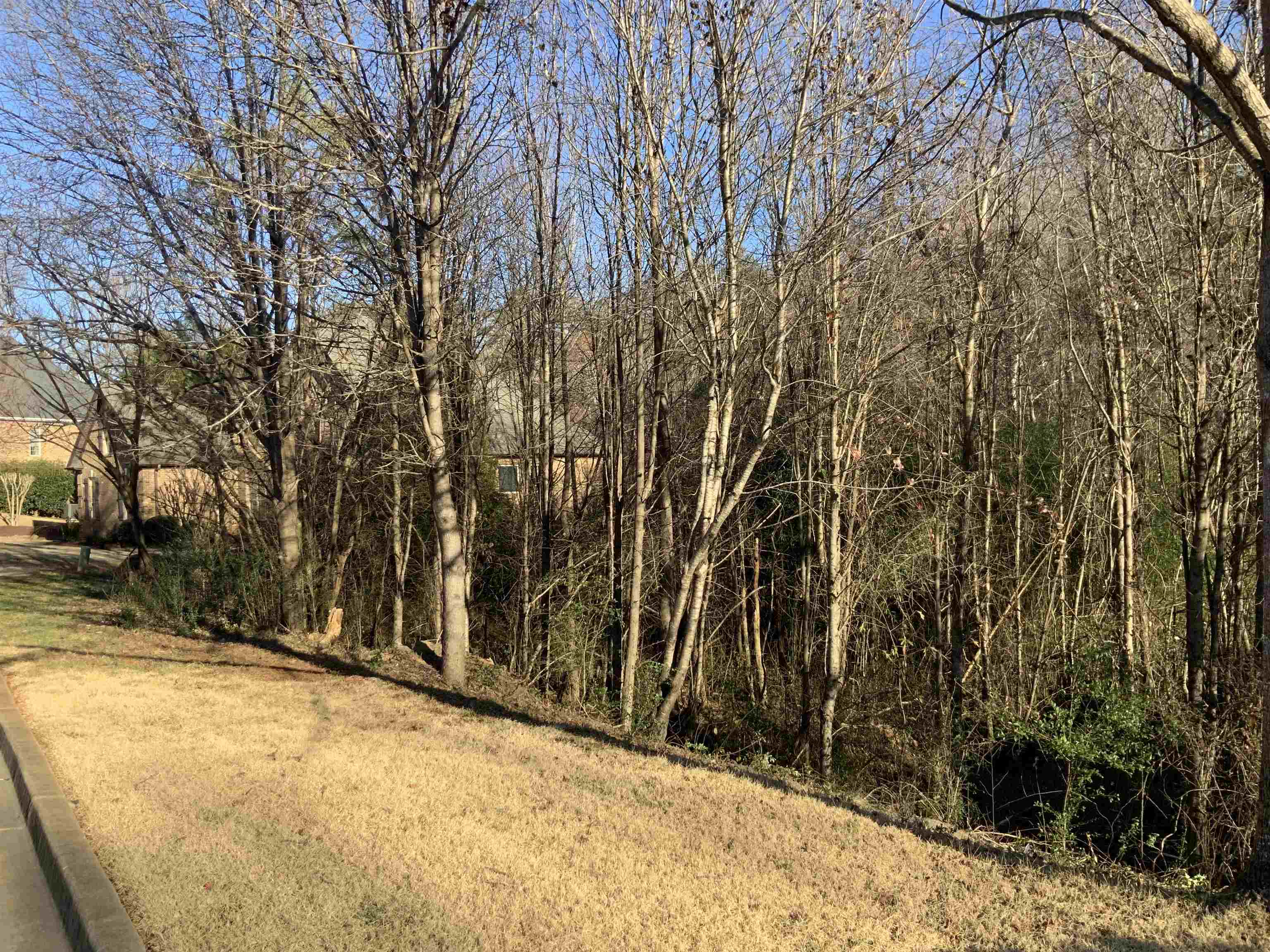 548 Verdae Dr Dr, Spartanburg, South Carolina image 3