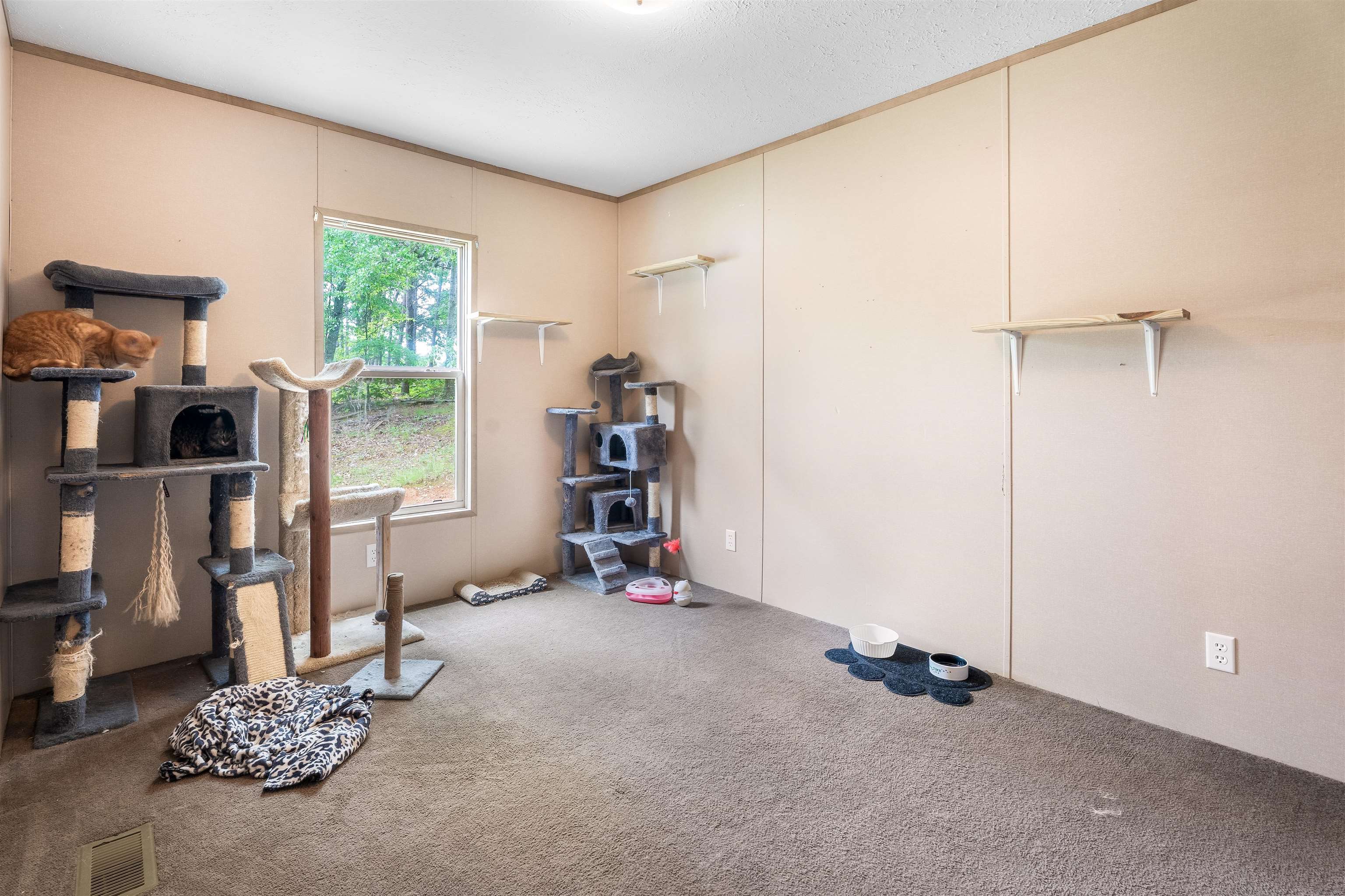 126 Bolt Ln Ln, Easley, South Carolina image 23
