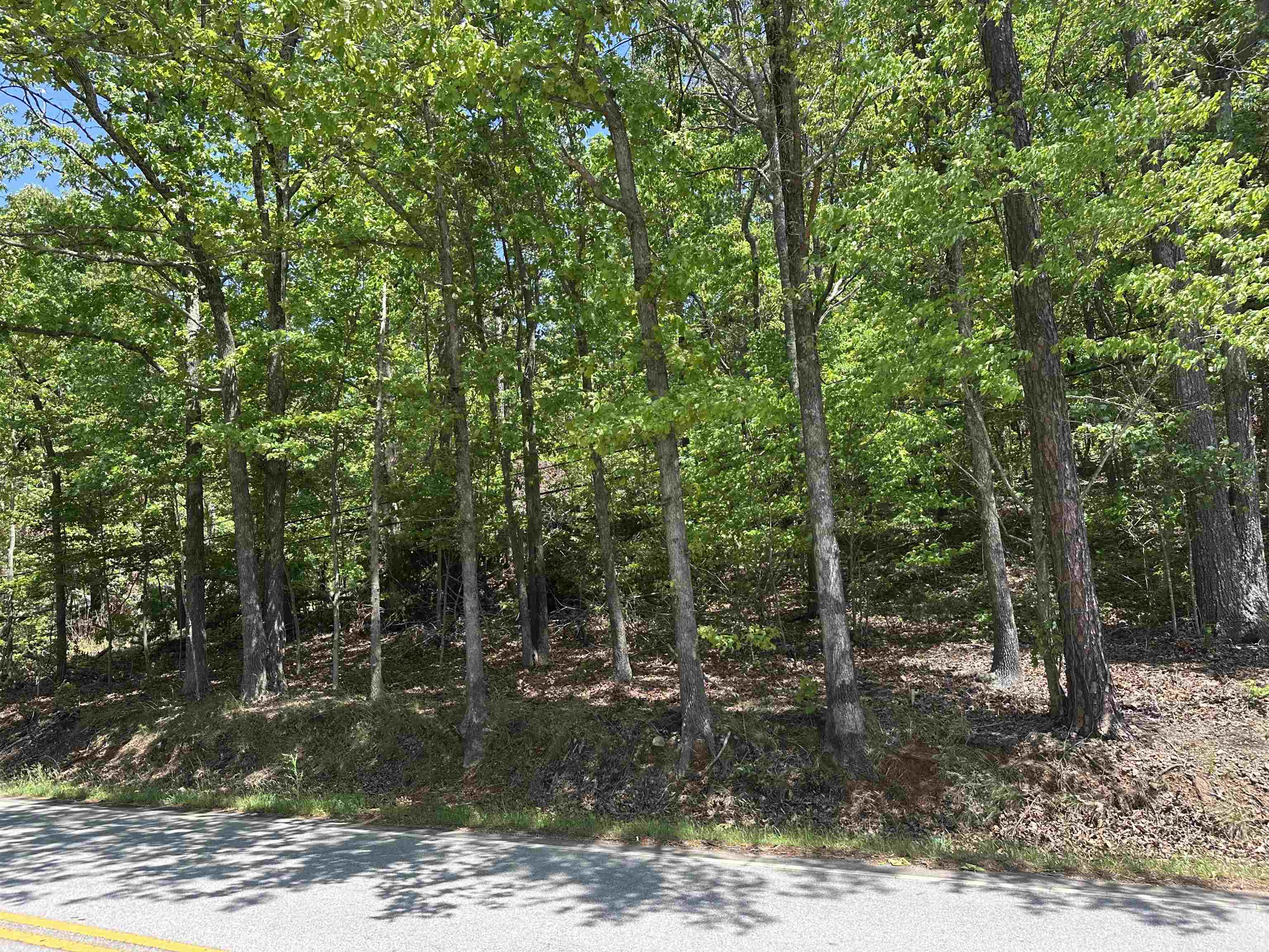 1741 Old Pacolet Road, Spartanburg, South Carolina image 6